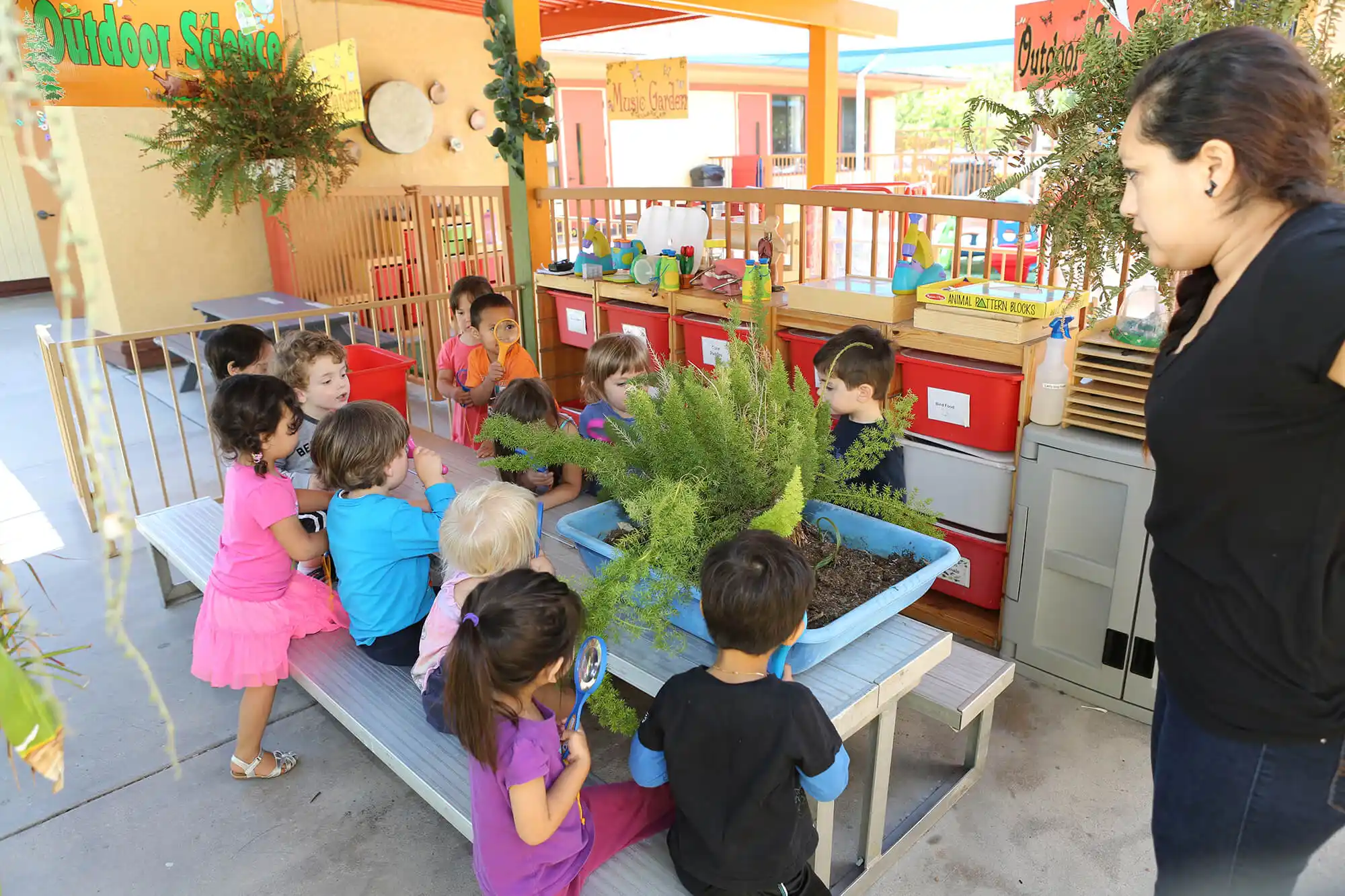 Preschool children conducting hands-on science experiments, planting seeds, and exploring nature ecosystems in an outdoor science program at Sierra Preschool