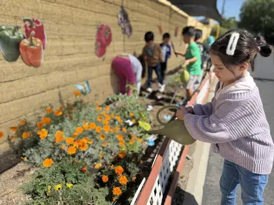 Child watering garden outdoors